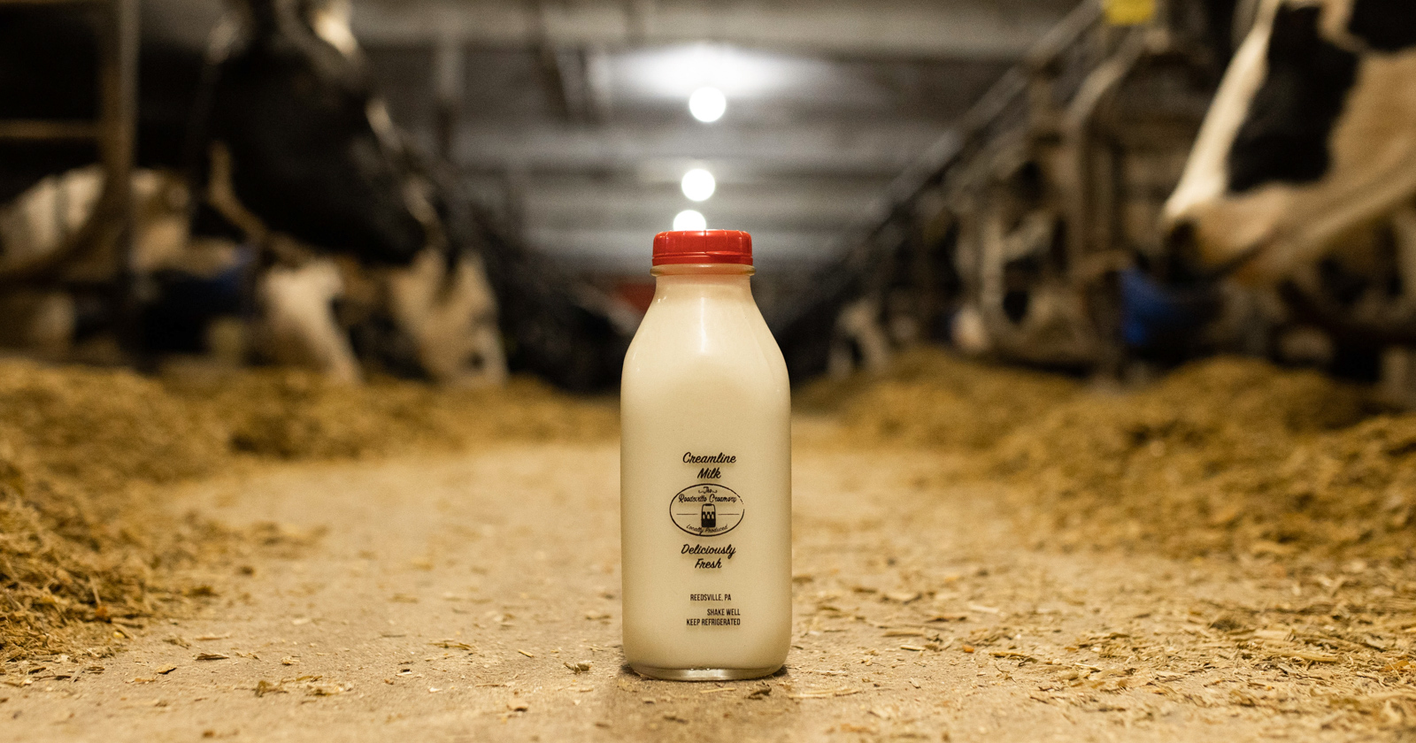 about the reedsville creamery farm fresh milk