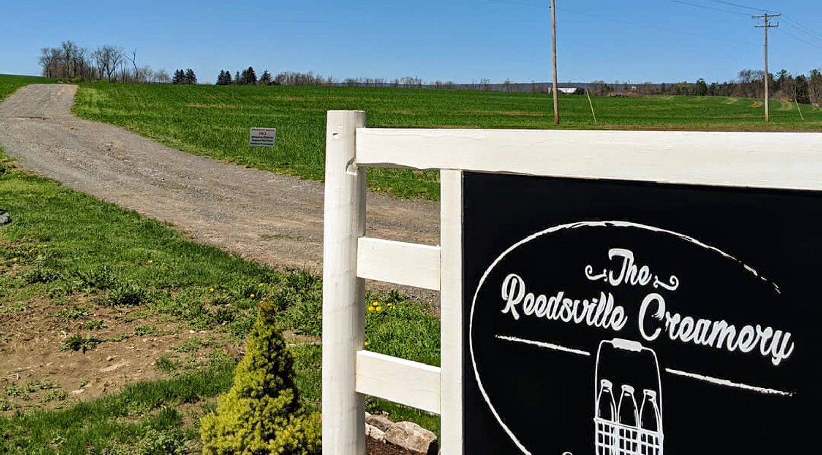 contact the reedsville creamery